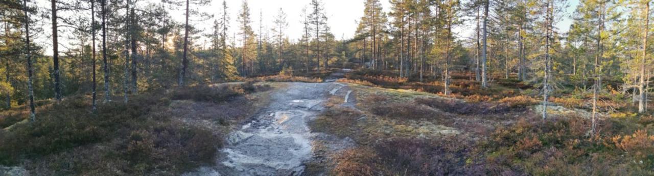 Hyttingsfabodstugor Borlänge Εξωτερικό φωτογραφία