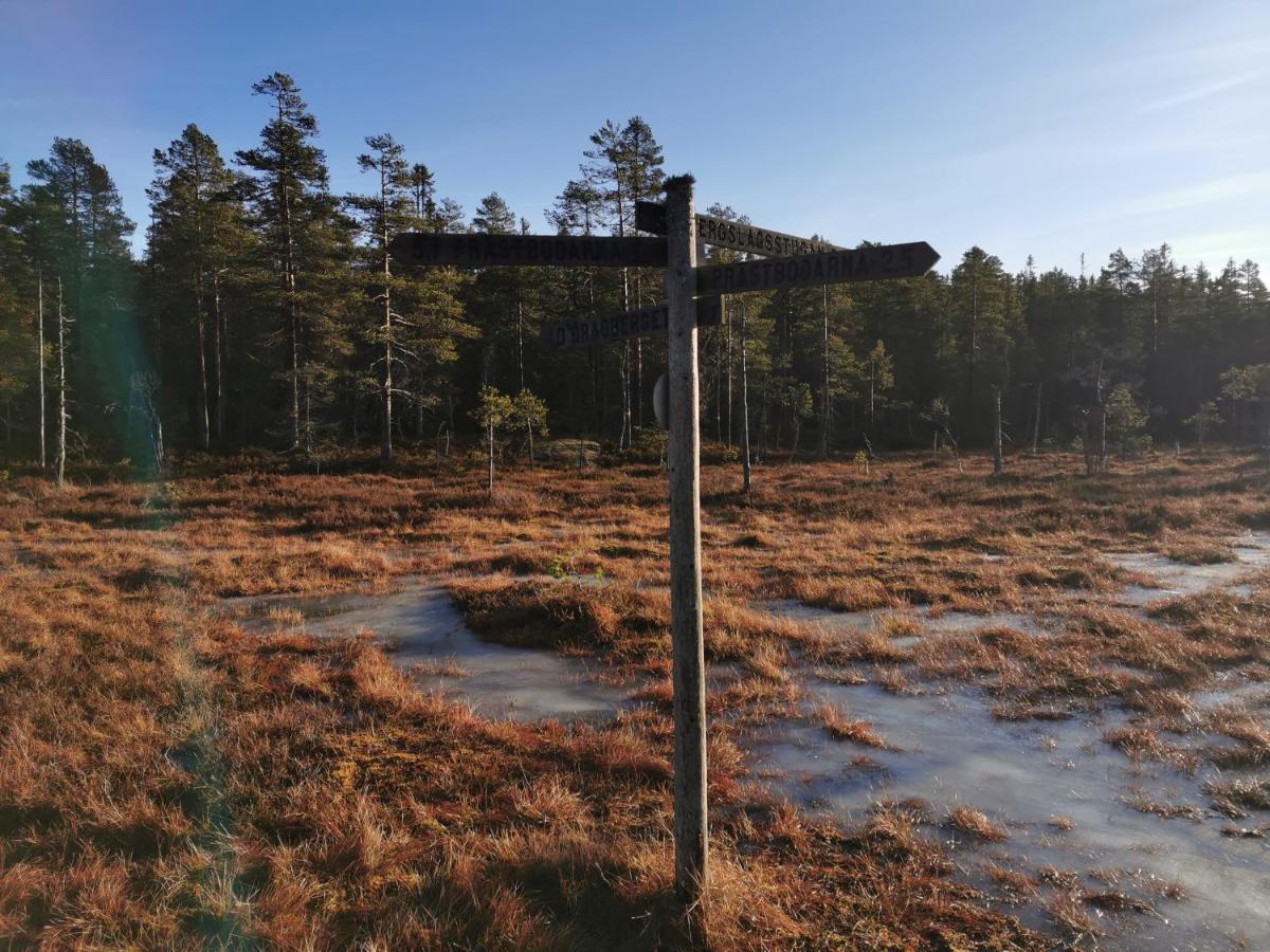 Hyttingsfabodstugor Borlänge Εξωτερικό φωτογραφία