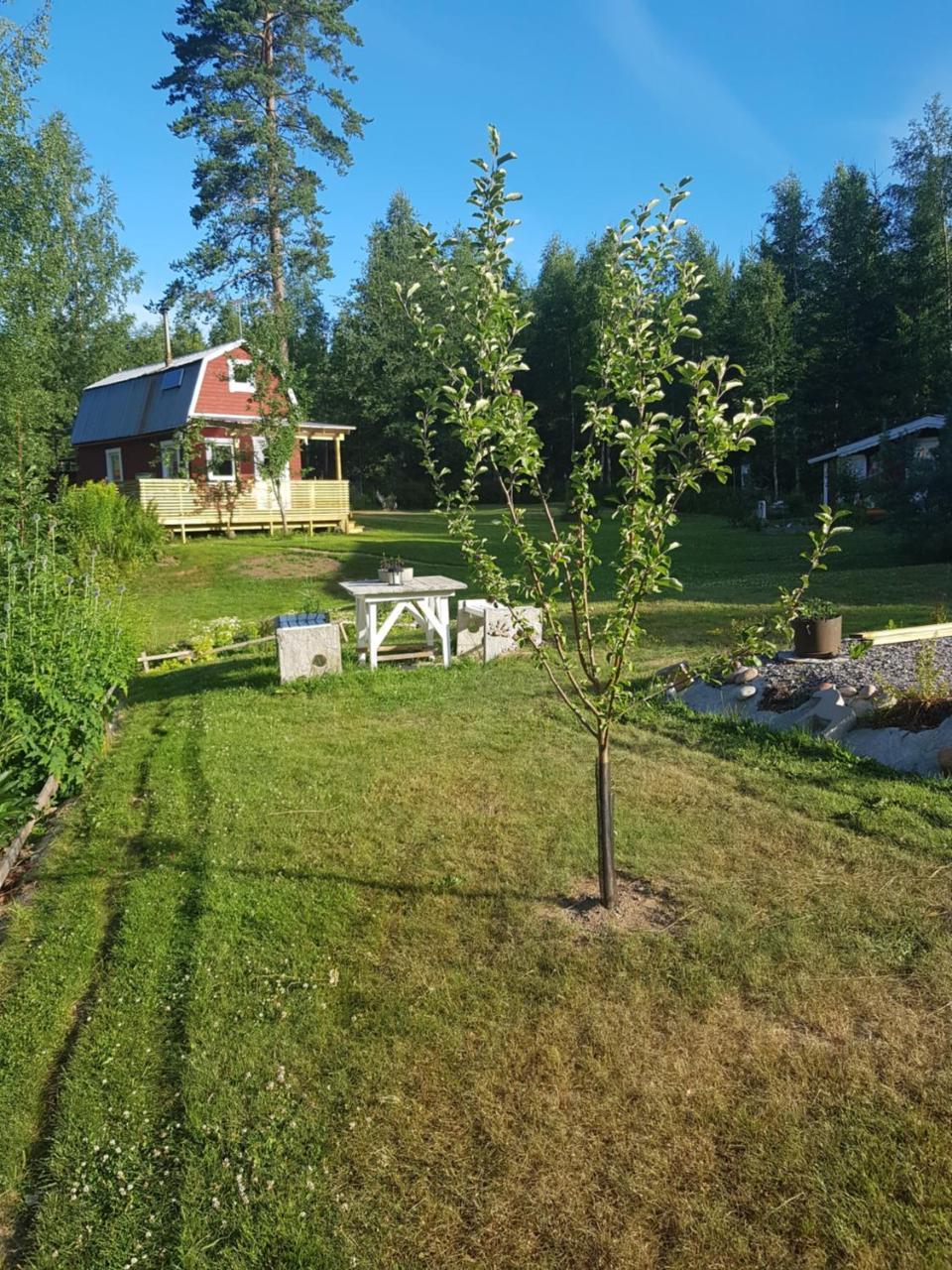 Hyttingsfabodstugor Borlänge Εξωτερικό φωτογραφία